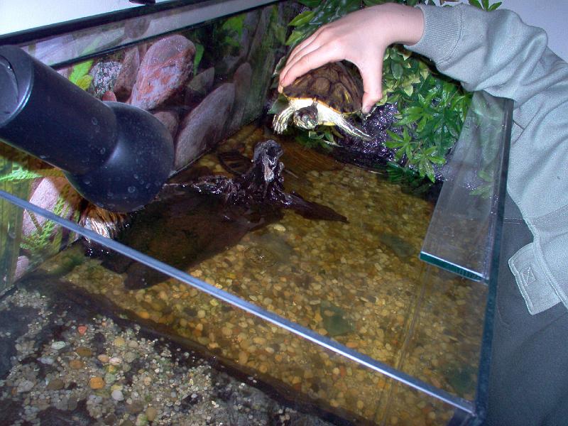 12-04-2004 012.jpg